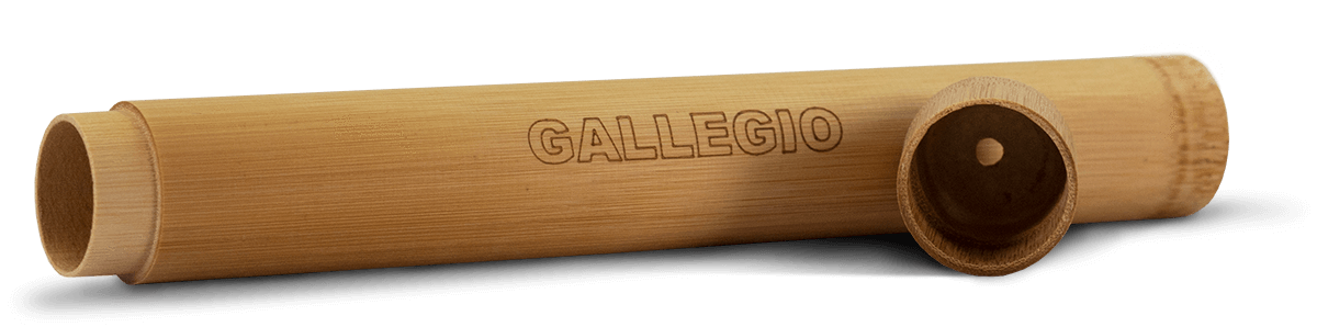 GALLEGIO - Bambuszahnbürsten-Reiseetui